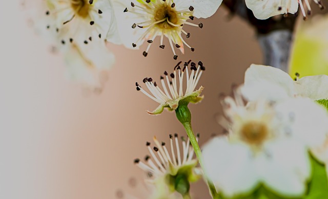 Hình ảnh minh họa ý nghĩa của từ strive for