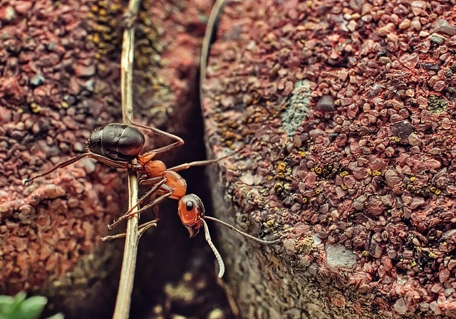 Hình ảnh minh họa ý nghĩa của từ striving