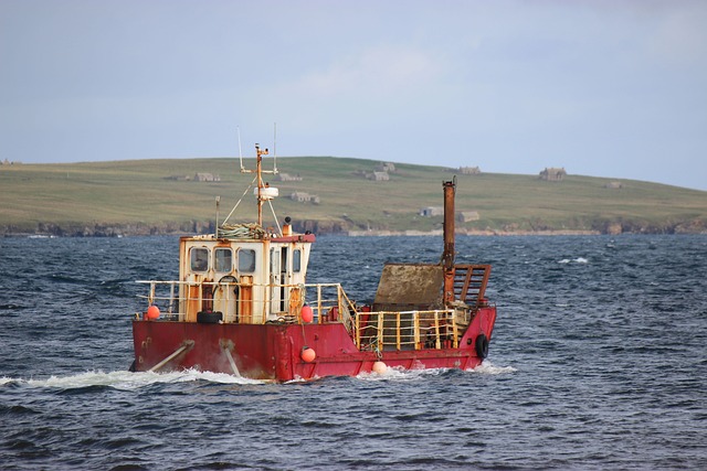 Hình ảnh minh họa ý nghĩa của từ stroma