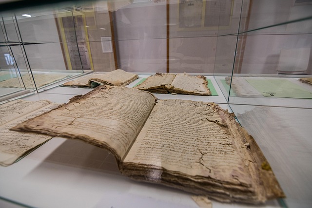 Hình ảnh minh họa ý nghĩa của từ study data