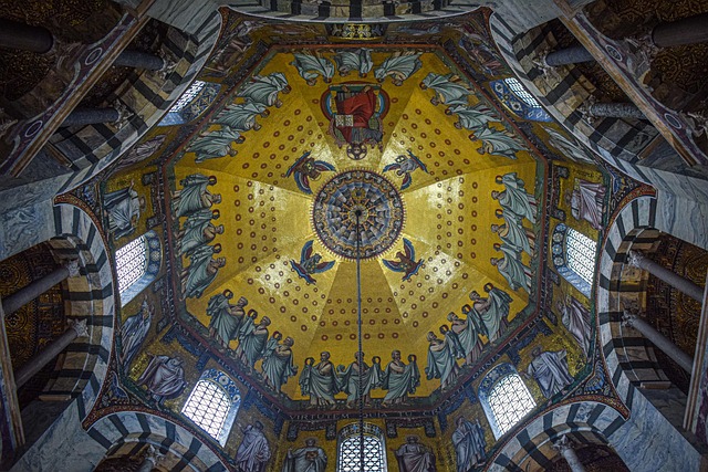 Hình ảnh minh họa ý nghĩa của từ stupid