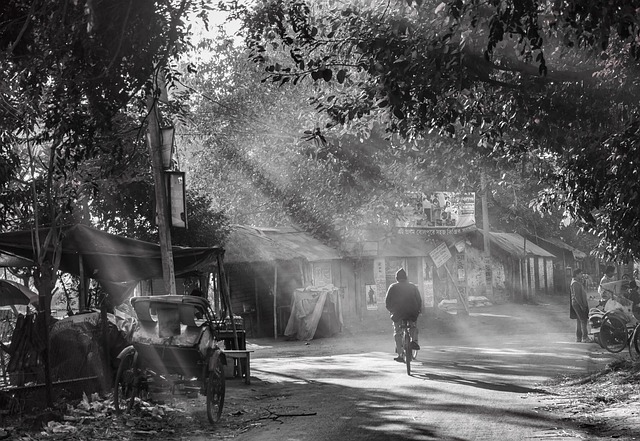 Hình minh họa loş