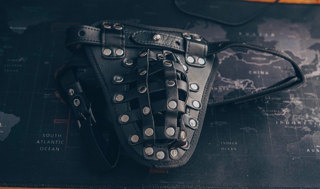 Hình ảnh minh họa ý nghĩa của từ submissive male