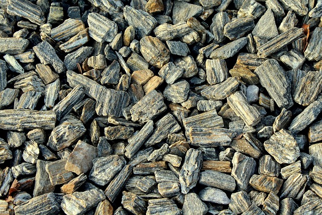 Hình ảnh minh họa ý nghĩa của từ subsoil