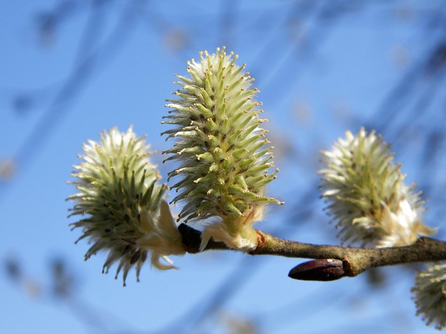 Hình ảnh minh họa ý nghĩa của từ subtlety