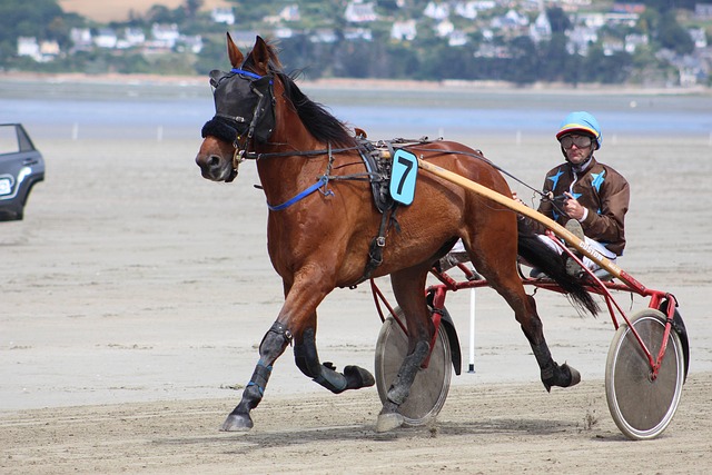 Hình ảnh minh họa ý nghĩa của từ sulky