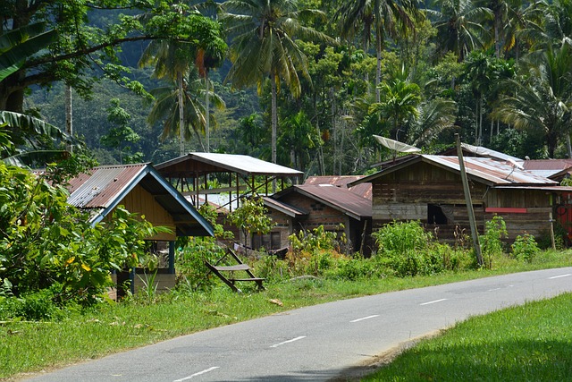 sumatra