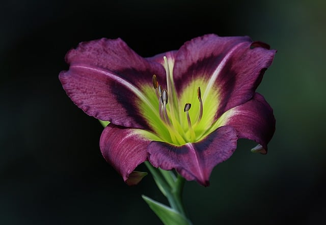 Hình ảnh minh họa ý nghĩa của từ sumer