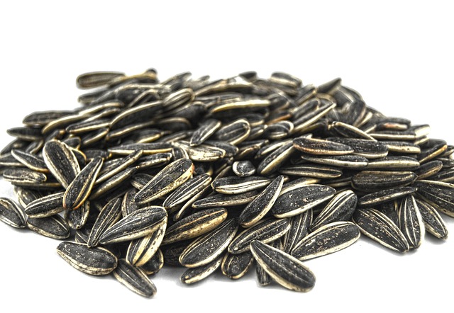 sunflower seed