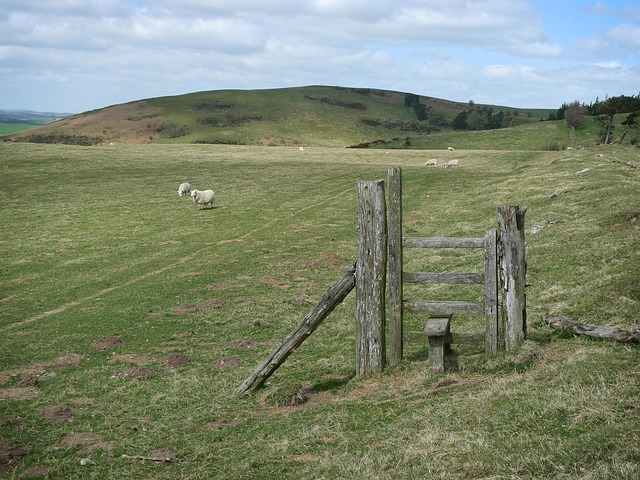 Hình ảnh minh họa ý nghĩa của từ superseding