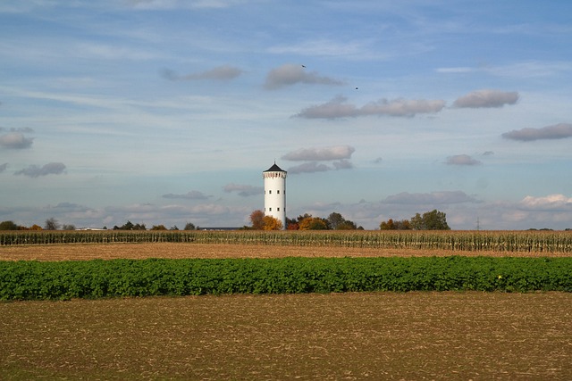 Hình ảnh minh họa ý nghĩa của từ supplying nation