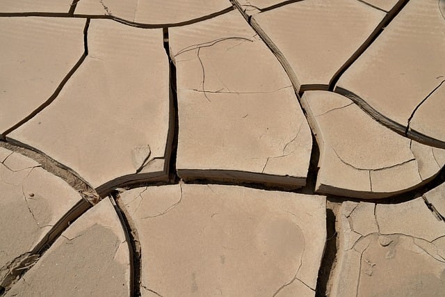 surface soil