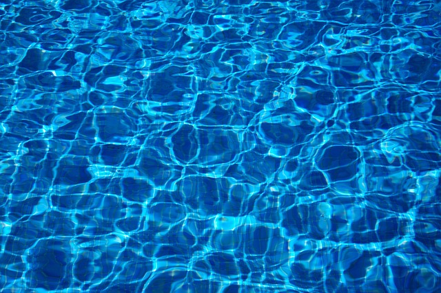surface swimming