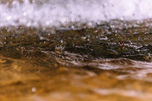 surface wave