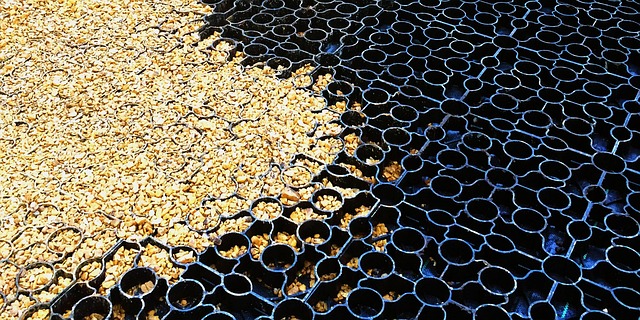 Hình ảnh minh họa ý nghĩa của từ surfacing