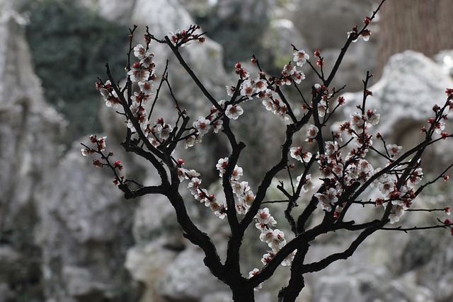 Hình ảnh minh họa ý nghĩa của từ surging