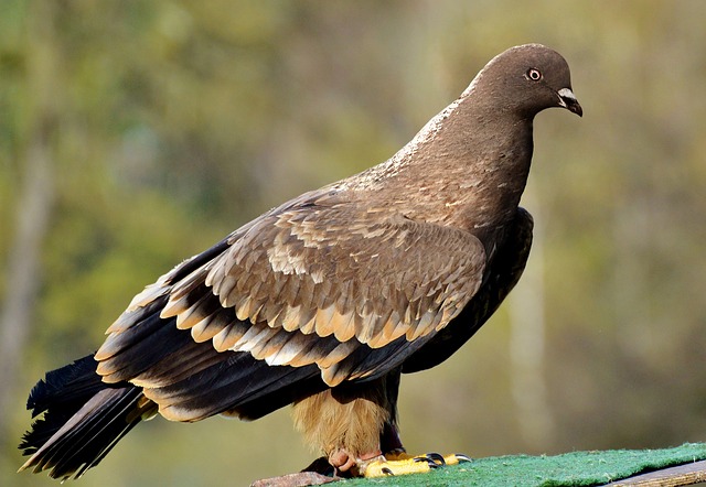 Hình ảnh minh họa ý nghĩa của từ surprisingly