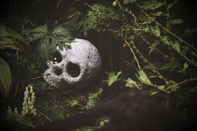 Hình ảnh minh họa ý nghĩa của từ surviving