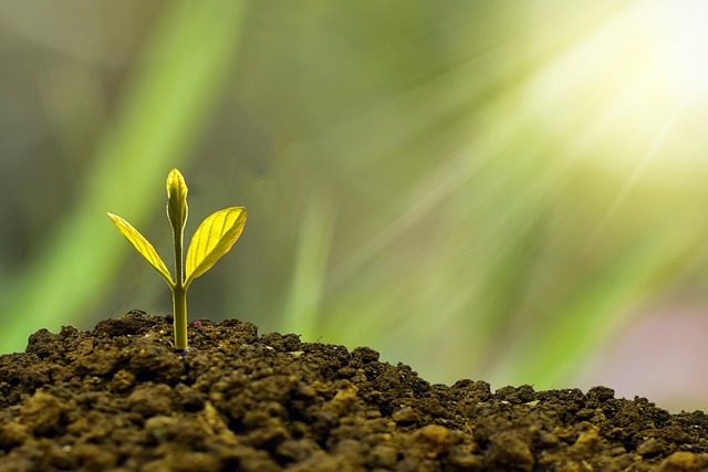 sustainable business