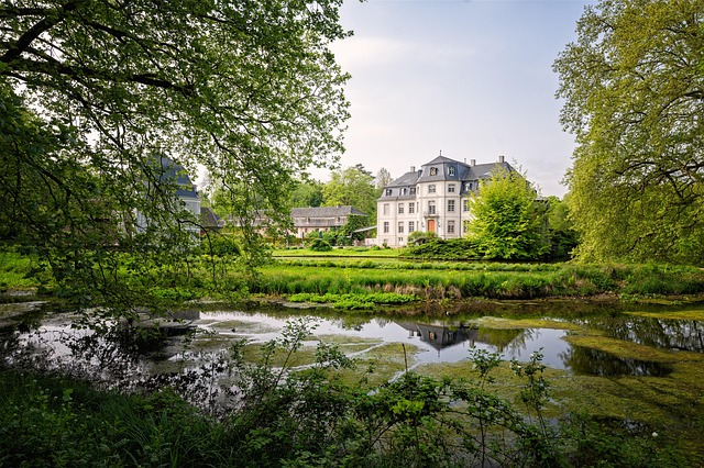 Hình ảnh minh họa ý nghĩa của từ swamp