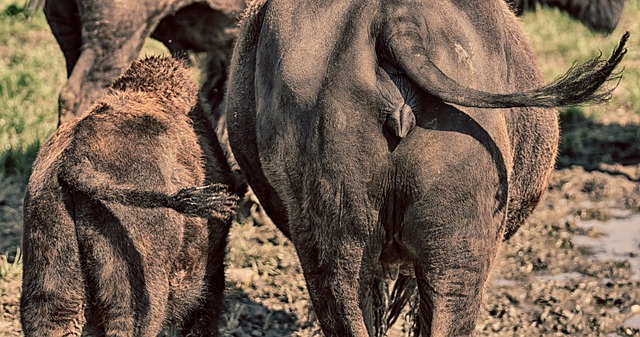 Hình ảnh minh họa ý nghĩa của từ synchronous