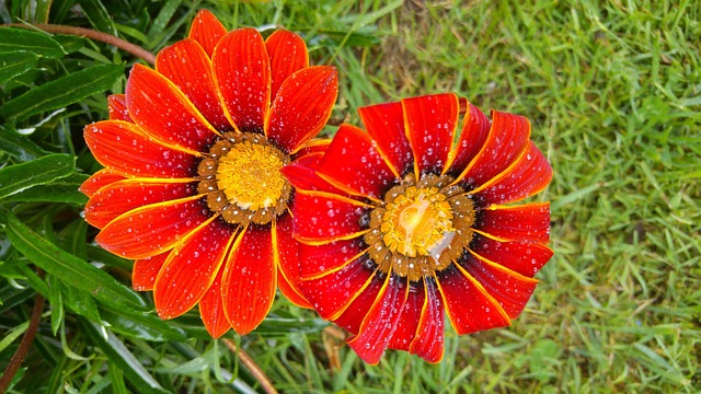 Hình ảnh minh họa ý nghĩa của từ synergy