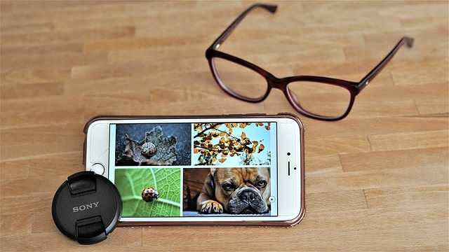 Hình ảnh minh họa ý nghĩa của từ table protector