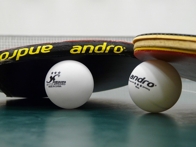 table tennis bat