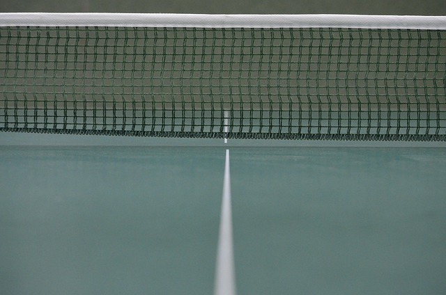 table tennis table