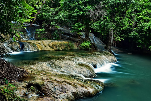 Hình minh họa acıma