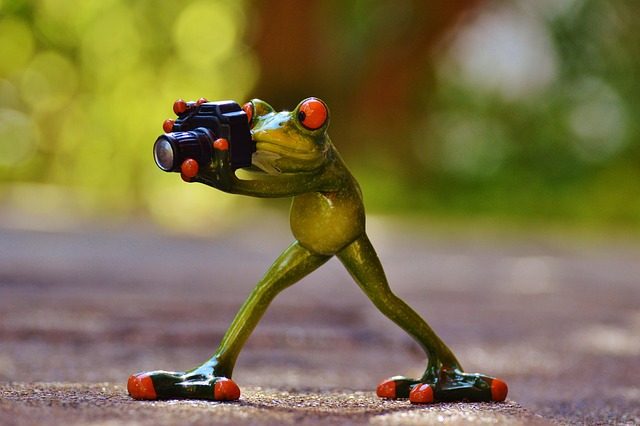 Hình ảnh minh họa ý nghĩa của từ taking