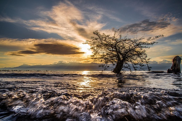 tanganyika