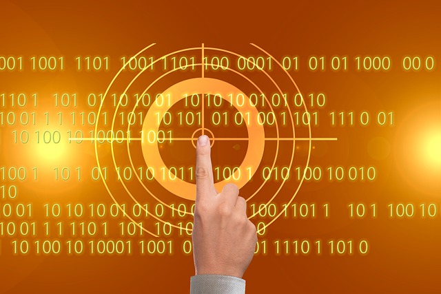 Hình ảnh minh họa ý nghĩa của từ targeting system