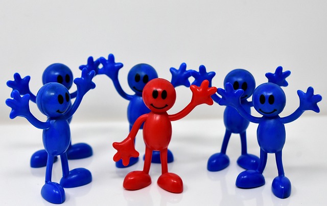 team leader