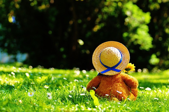 teddy bear collector