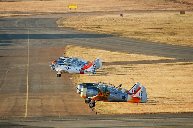 Hình ảnh minh họa ý nghĩa của từ tejano