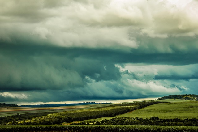 Hình ảnh minh họa ý nghĩa của từ temporal sequence