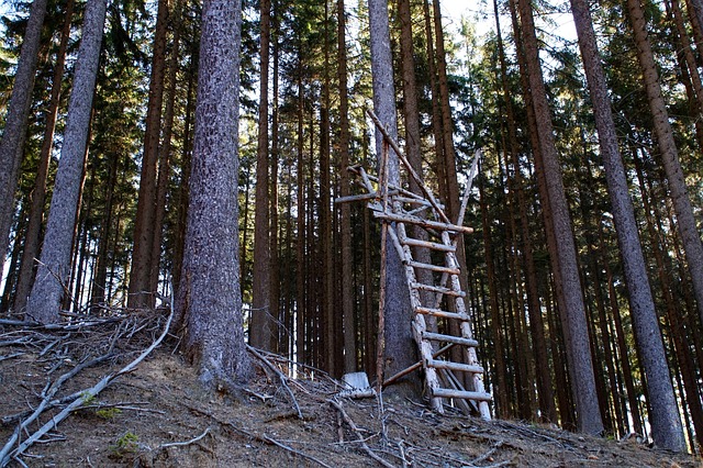 Hình ảnh minh họa ý nghĩa của từ temporarily