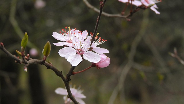 Hình ảnh minh họa ý nghĩa của từ tenderly