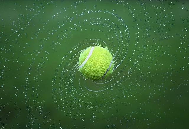 Hình ảnh minh họa ý nghĩa của từ tennis ball