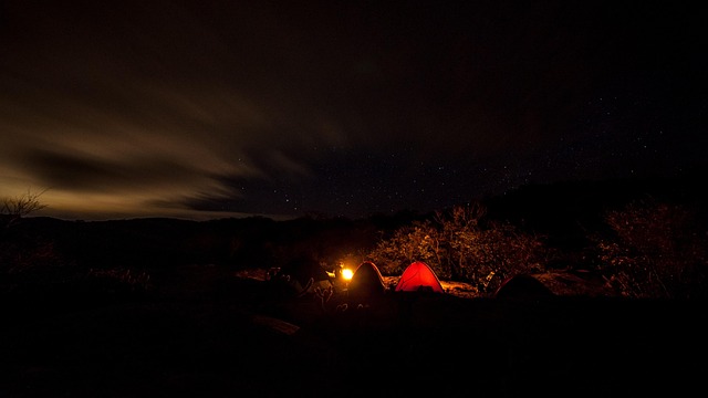 tent stake