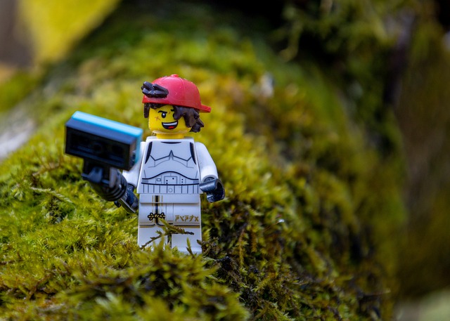 Hình ảnh minh họa ý nghĩa của từ terminal care