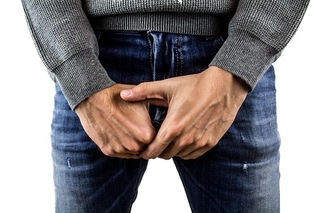 testicular appendage