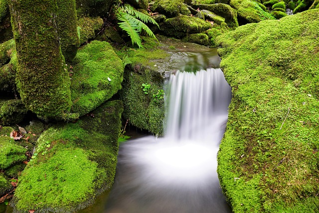 Hình ảnh minh họa ý nghĩa của từ testified