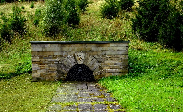 Hình ảnh minh họa ý nghĩa của từ testimony