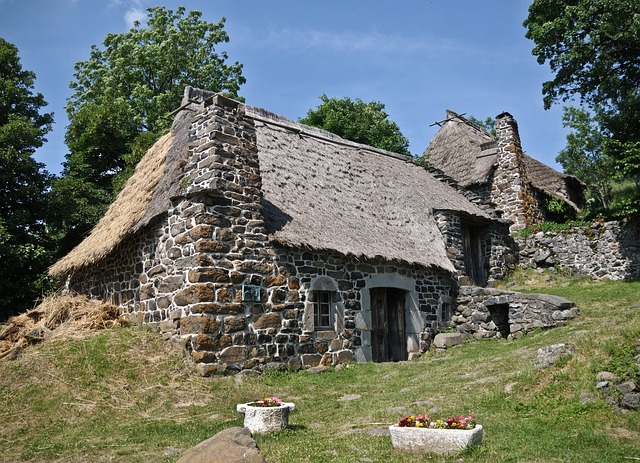 thatch