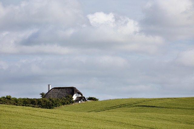 thatched roof