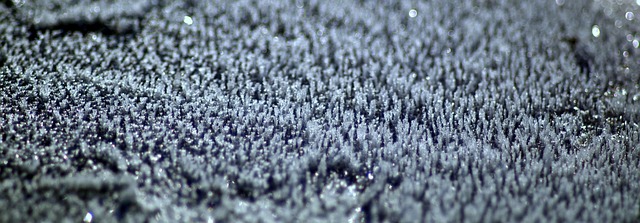 thawed ground
