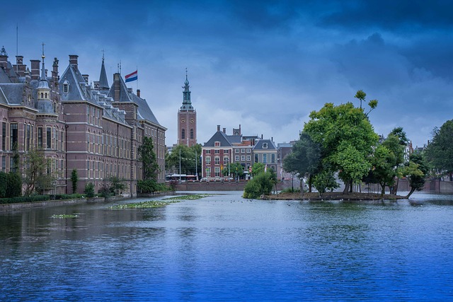 the hague