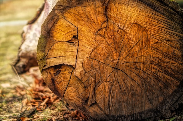 Hình ảnh minh họa ý nghĩa của từ thicker